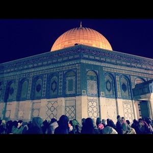 Meet your Posher, Warda